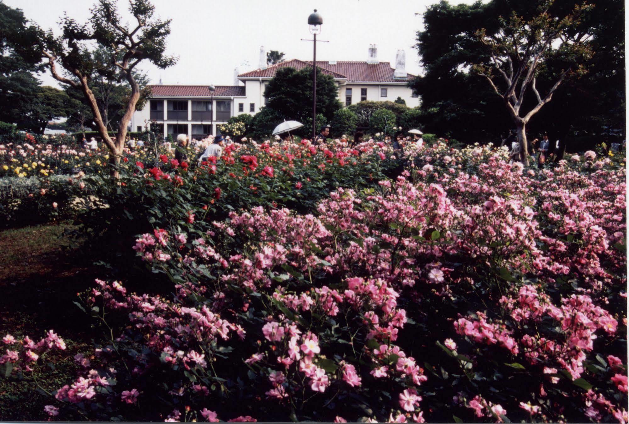 Sotetsu Fresa Inn Yokohama Totsuka Exterior foto